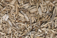 biomass boilers Grangepans